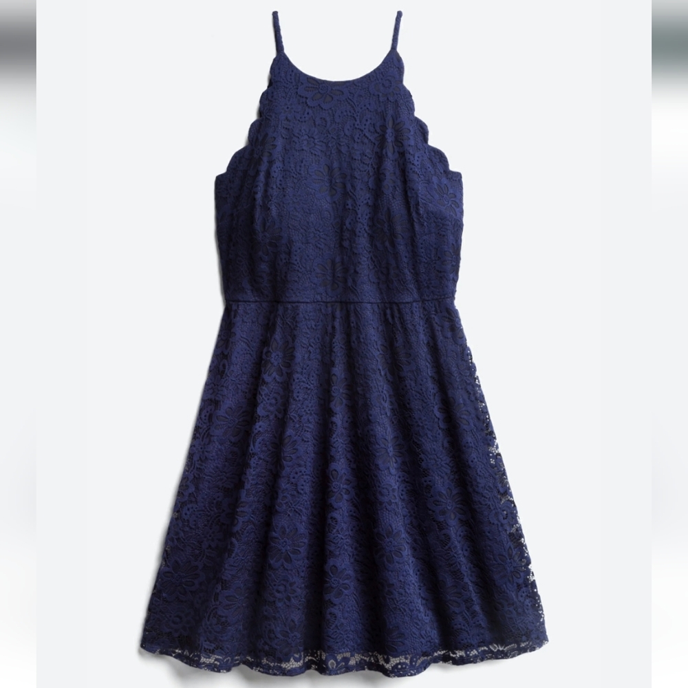 Lace dress 2X by Fortune and Ivy